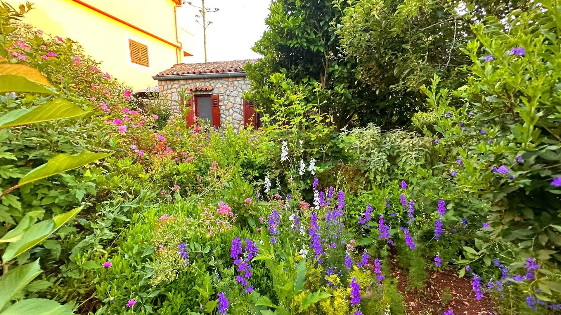 Apartments Cvita Veli Losinj