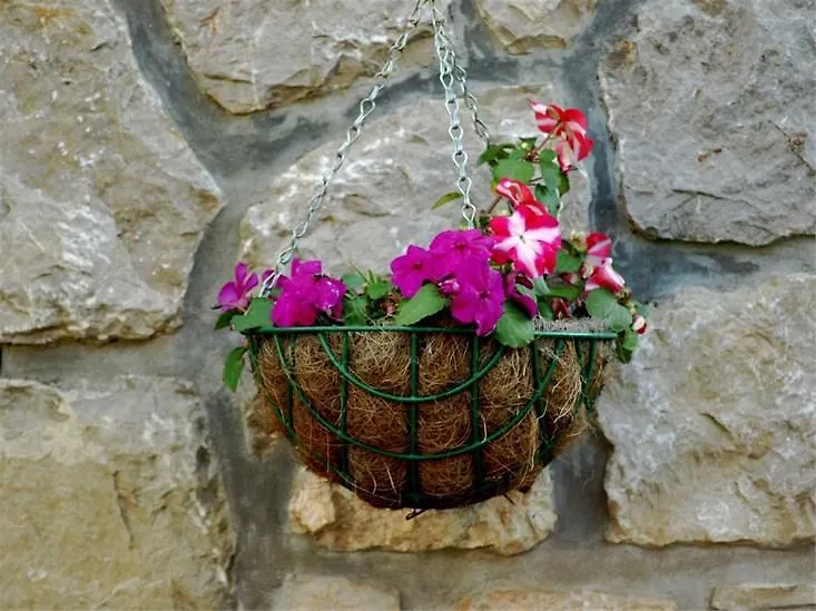 Apartments Cvita Veli Lošinj 0*,