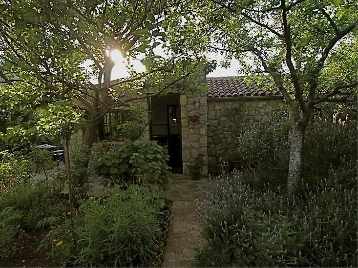Apartments Cvita Veli Lošinj Kroatien